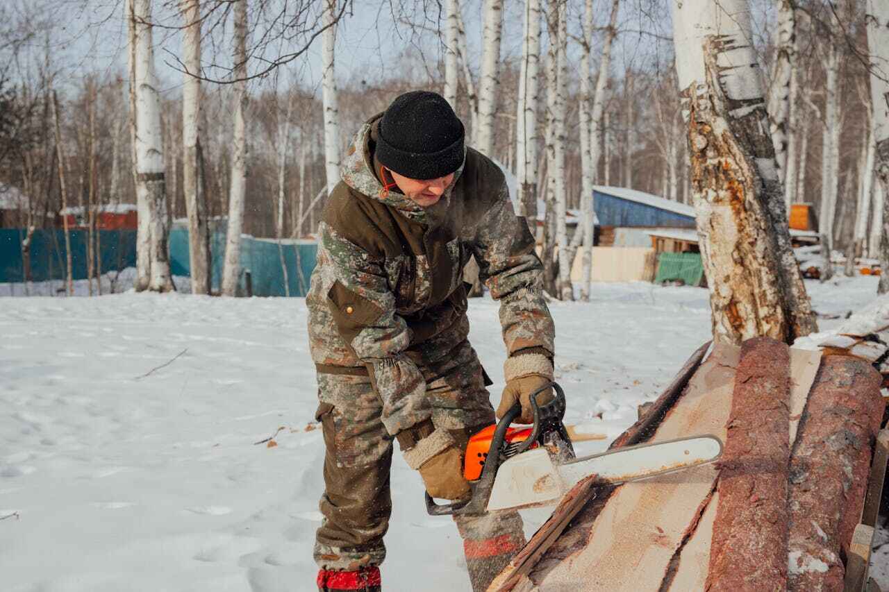 TreeGuard Tree Service